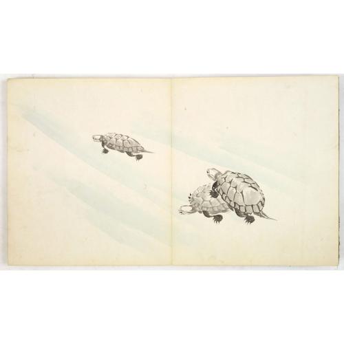 Old map image download for 3 Japanese albums