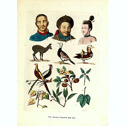 [VIII. Animali e Vegetabilidella Cina].