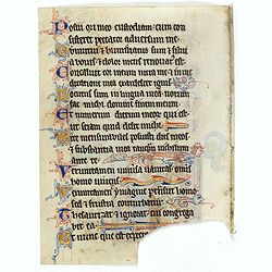 Illuminated leaf from a lithurgical Psalter.