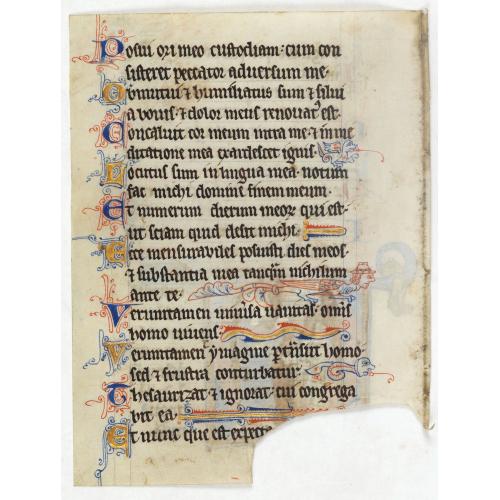 Rare, antique map of  Illuminated leaf from a lithurgical Psalter.