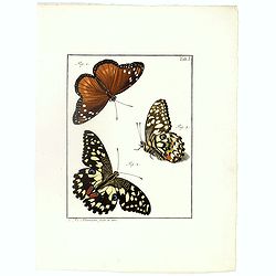 [Three butterflies on one sheet]