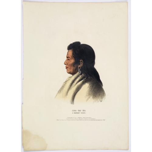 Old map image download for Sha-Ha-Ka. A Mandan Chief.