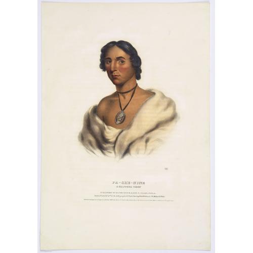 Old map image download for Pa-She-Nine. A Chippewa Chief.