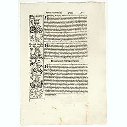 Quarta Etas Mundi. Folium. LVI