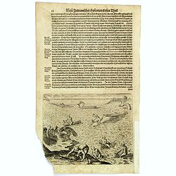 [Indians catching Whales in the West Indies.]