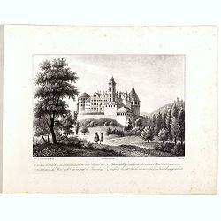 Le châteaude Heidelberg au commencemment de XVIIe siecle. . . Das Heidelberg schlosse von den acusseren . . .