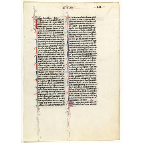 Leaf on vellum from a 13th century manuscript Bible