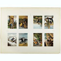Eight chromolithographed plates on one sheet.