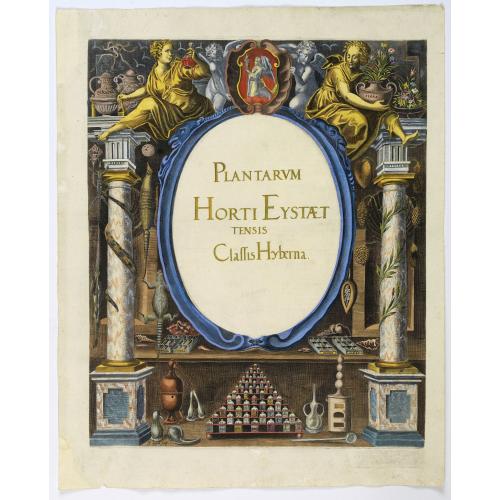 Rare, antique map of  Plantarum Horti Eystaettensis Classis Hybernia.