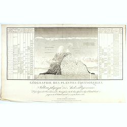 Géographie des Plantes Equinoxiales - Tableau physique des Andes et pays voisins. . .