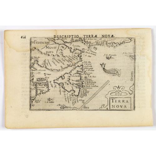 Terra Nova.