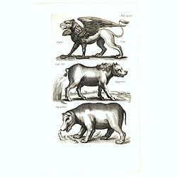 Grijphus, Grijps, Hippopotanus. . .