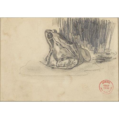 Old map image download for A frog sitting on a water lily leaf