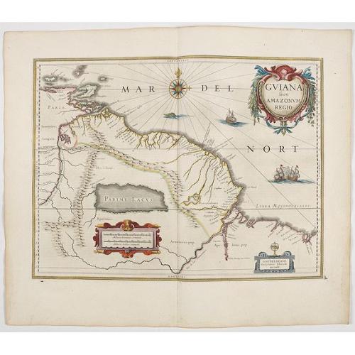 Rare, antique map of Guiana sive Amazonum Regio.