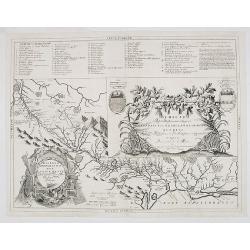 Disegno Idrografico del Canale Reale . . .