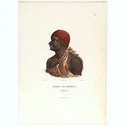 Terre de Diemen. Ourlaga. [plate IX]