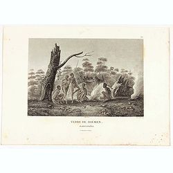 Terre de Diemen. Habitations. [plate XV].