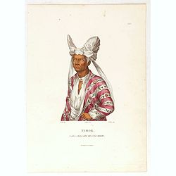 Timor. Naba-Leba Roi de L'Ile Solor. [plate XXV]