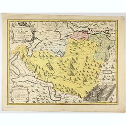Canton Schweiz sive pagus Helvetiae Suitensis... / per Gabrielem Walserum.
