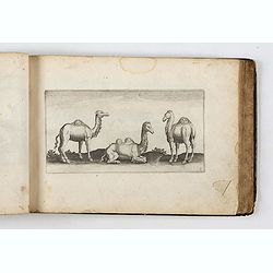 ALBUM with 170 engravings of animals, landscapes, months, figures, ornamentations, etc. from the 17th century.