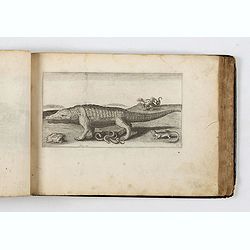 ALBUM with 170 engravings of animals, landscapes, months, figures, ornamentations, etc. from the 17th century.