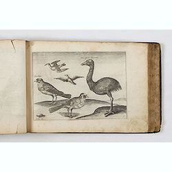 ALBUM with 170 engravings of animals, landscapes, months, figures, ornamentations, etc. from the 17th century.