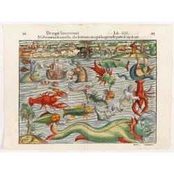 [Sea monsters] De regni Settentrionali Monstri marini & terrestri…