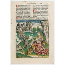 Prima Etas Mundi. IX