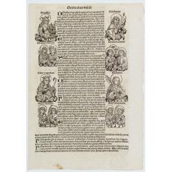 Sexta Etas Mundi. Folium. CXXV