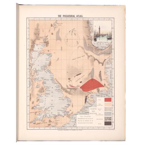 image lot 49490