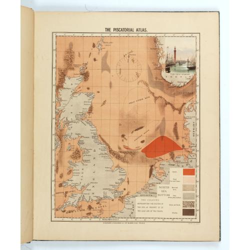 Rare, antique map of  The piscatorial atlas of the North sea, English and St Georges Channels.