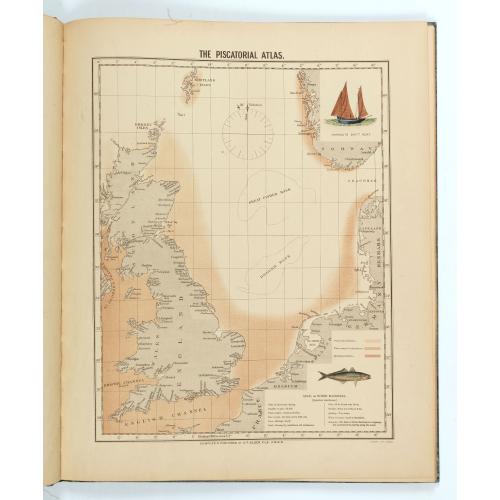 Rare, antique map of  The piscatorial atlas of the North sea, English and St Georges Channels.