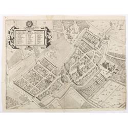 Afbeelding geometri vande oude end playsante graefflijcke stadt Cuylenborch alsoe die nu ter tijt te zien is.