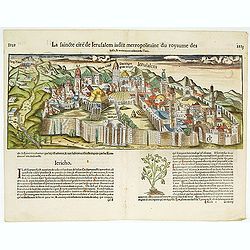 La Sainte cité de Jérusalem jadiz métropolitaine du royaume des juifz...