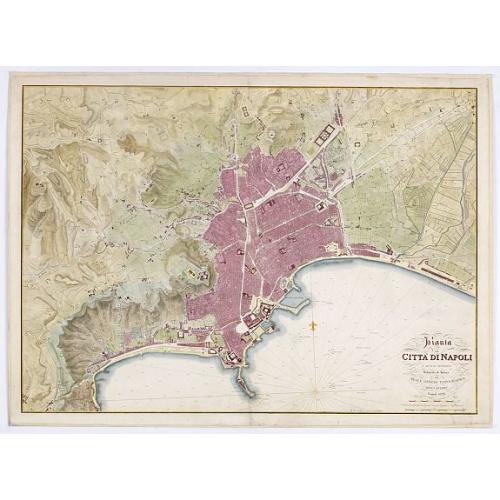 Old map image download for Pianta della Citta di Napoli e de' soui contorni.