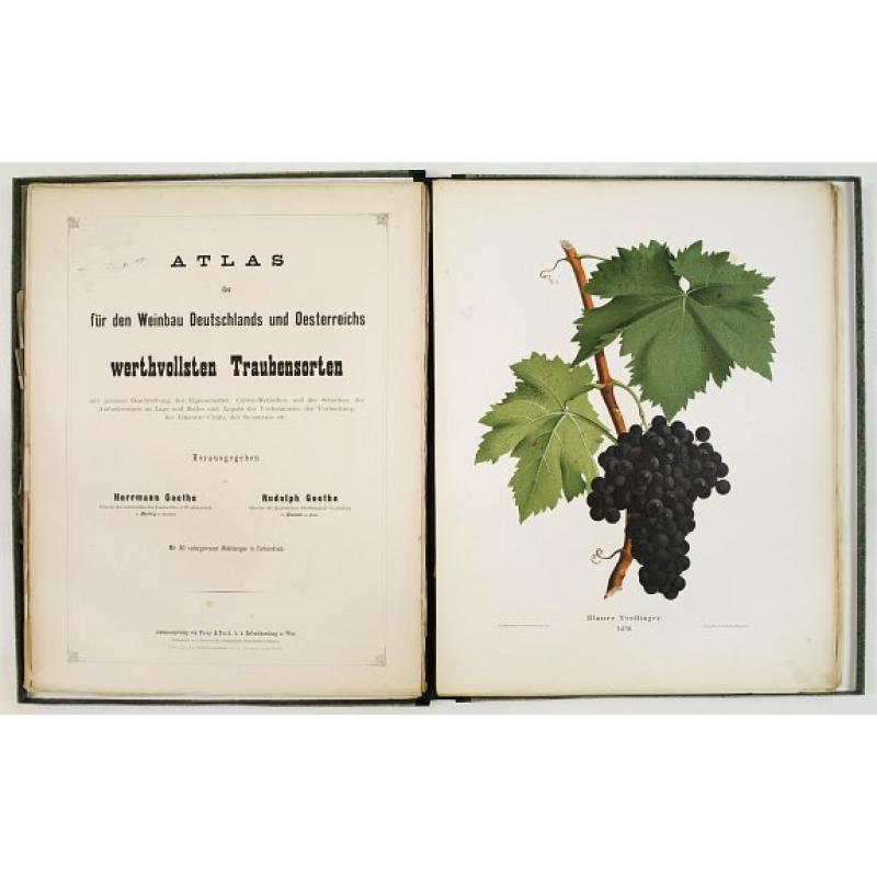 Atlas der für den Weinbau Deutschlands und Oesterreichs werthvollsten Traubensorten. Mit genauer Beschreibung der Eigenschaften, Cultur-Methoden und des Schnittes...