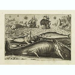 Virulus marinus. Cete (Whale and whaling scene)