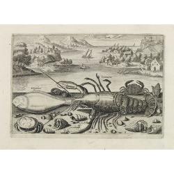 Cammarus, Lingulaca. (Lobster, crab and shell fish)