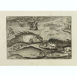 Image download for Glaucus, Cantharus, Salpa, Rarus. (Piscium Vivæ Icones - Fish)