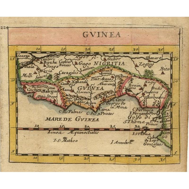 Gvinea.