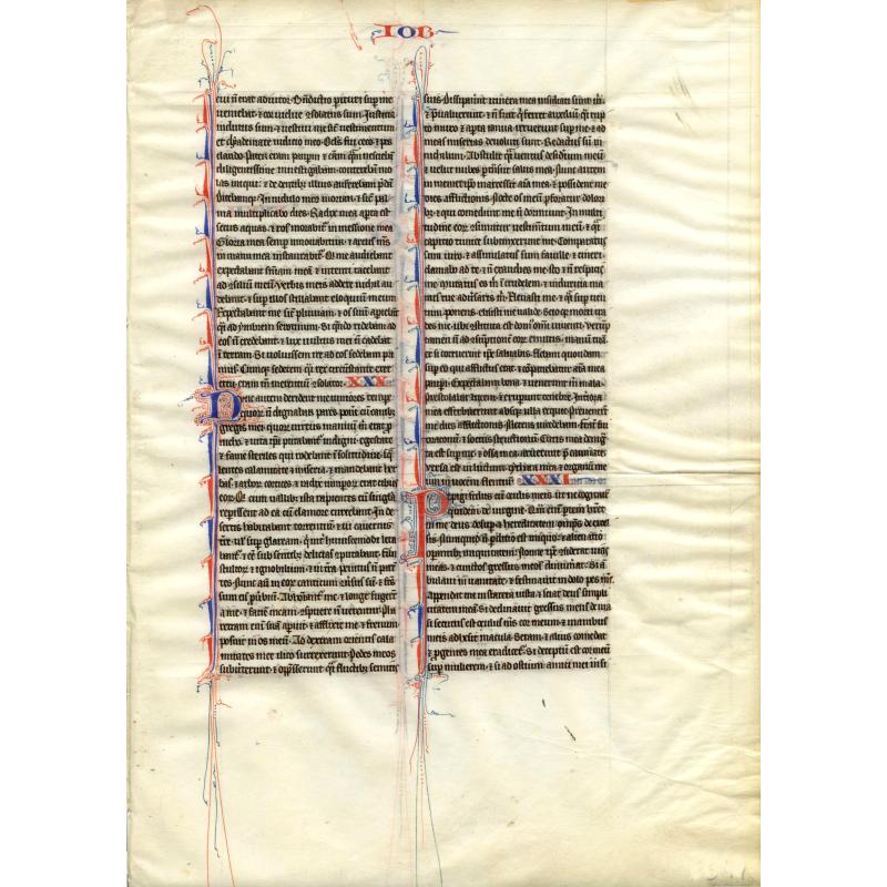 Leaf on vellum from a manuscript Bible.