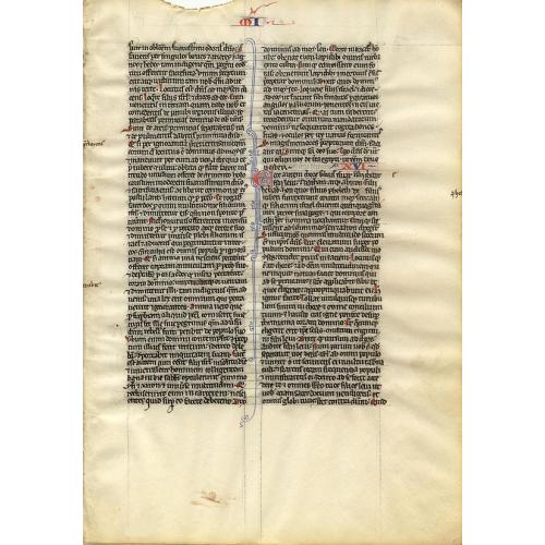 Old map image download for Leaf on vellum from a manuscript Bible.