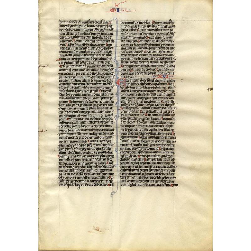 Leaf on vellum from a manuscript Bible.