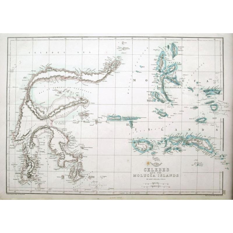 Celebes and the Molucca Islands.