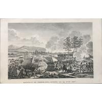 The Napoleonic Wars. Battles of Borodino, Gdansk and Friedland.