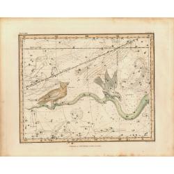 Jamieson Celestial chart plate 27 first edition.