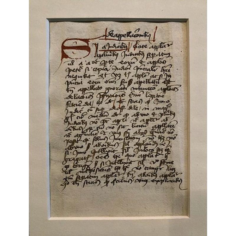 Legal Writing by an English Scribe.