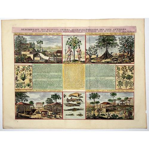 Old map image download for Descriptions des Plantes, Arbres, Animaux & Poissons des Iles Antilles.