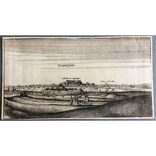 Old map image download for Tootehill fields.