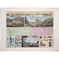 [St.Kitts]-St. Christophle,- Particularitez Curieuses De L'Ile De .. et De La Province De Bemarin Dans Les Antilles.